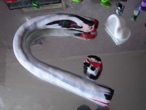 puca-013.jpg