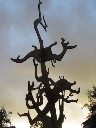 IMG-0136.JPG