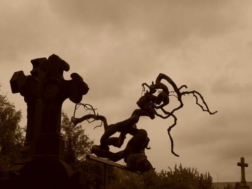 Photo-119-copie-1.jpg