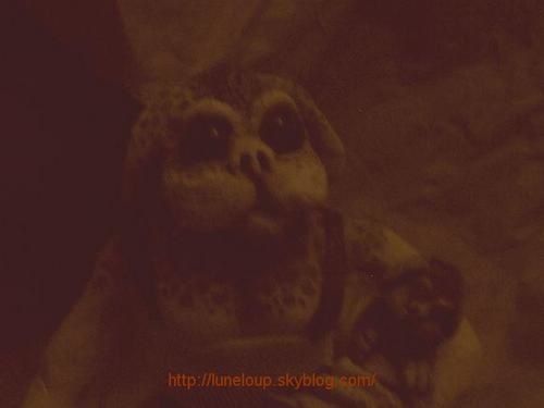 comment-bien---duquer-son-b--b---shingouzz.adrs.jpg