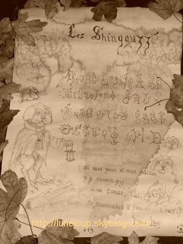 encyclopedie-shingouzz.adrs.jpg