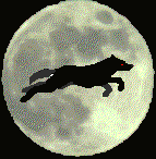 giff-LUNE-LOUP.gif