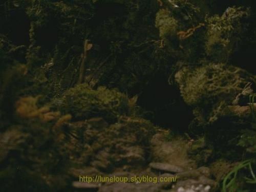 ouf--.adrs.jpg