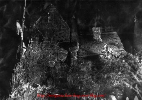 ruine.adrs.jpg