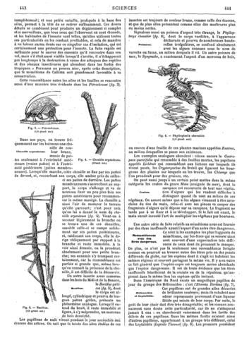 Revue-encyclop--dique.1892-04.jpg