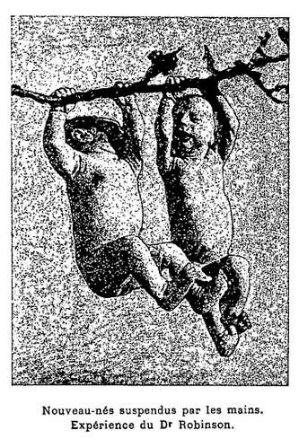 Revue-encyclop--dique02.jpg