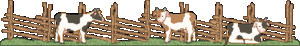 a402.gif