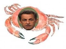 30crabe_copie_233_173.jpg