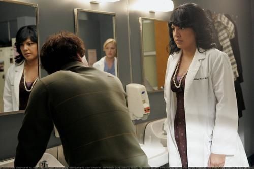 GREY S ANATOMY EPISODES GUIDE grey s anatomy episodes guide: