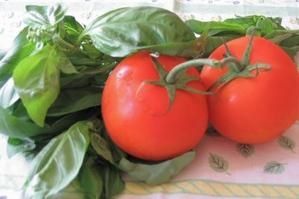 Tomates-basilic-5.jpg