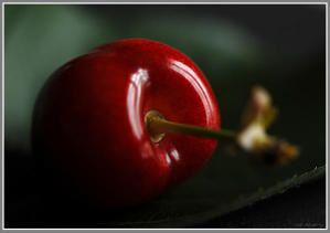 Queues de Cerises… - Le blog de Miss Terre Queues de Cerises… - Le blog de Miss Terre