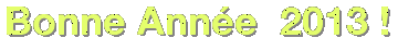 Bonne-annee-2013-BIS.gif