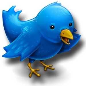 twitterbird-300x300.jpg