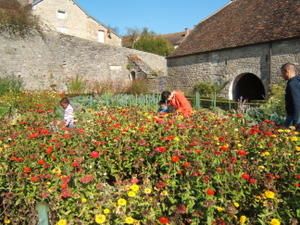 sortie-Barbirey-048-copie-1.jpg