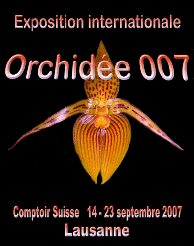 Flyer.gif