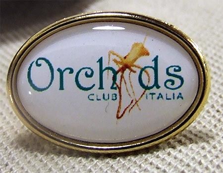 OrchidsClubItalia.jpg