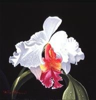 PeintCattleya.jpg