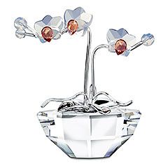Swarorchid.jpg