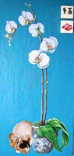 orchidee-chat-1.jpg