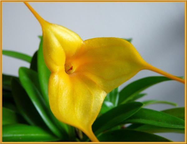 MasdeAquarius2.jpg