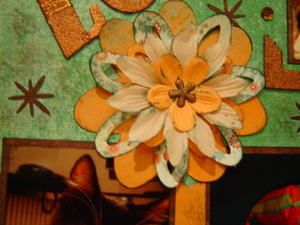concoursfourmi-020.jpg