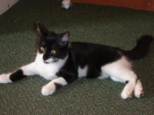 zoe-08-07.jpg