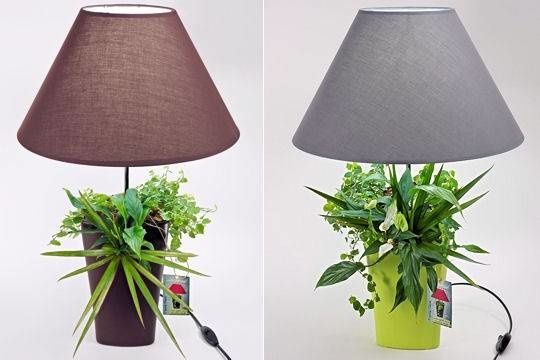 lampe-plante-lumipouss-873922