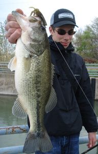 Sylvain-bass.jpg