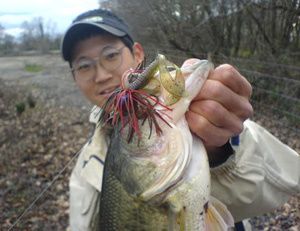 bass-bordal1.jpg