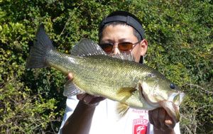 bass46.jpg