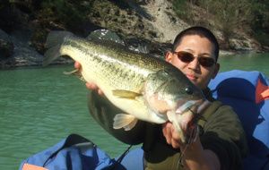 bass53-2.jpg