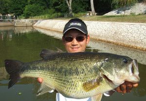 fatbass.jpg