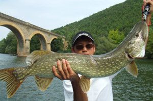 pike98.jpg