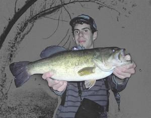sylvain2--Large-.jpg