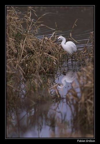 -ICT3390-01-copie.jpg