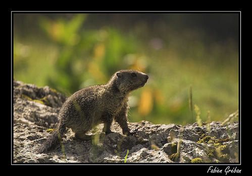 PICT8850-01-copie.jpg