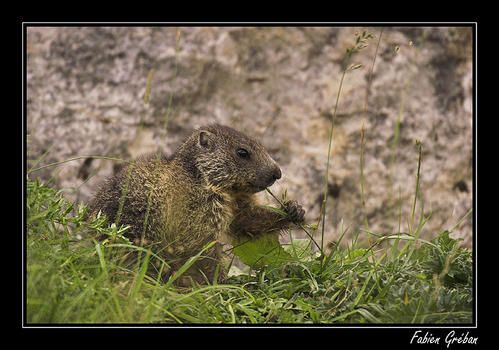 PICT8889-01-copie.jpg