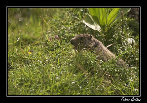 PICT8899-01-copie.jpg