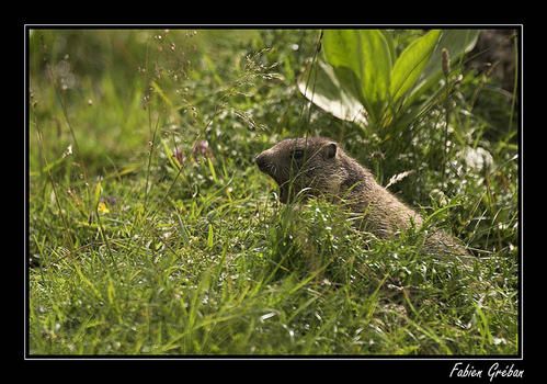 PICT8900-01-copie.jpg
