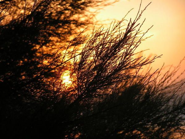PICT0080.jpg