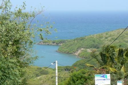 P1000575.JPG