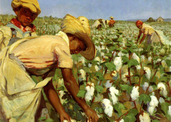 OS-cotton-picking-time-Isabel-Parke-Branson-Cartwright--188.jpg