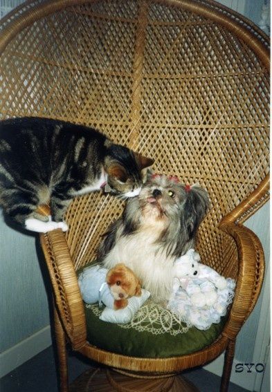 H--l--ne-et-Fifi.JPG