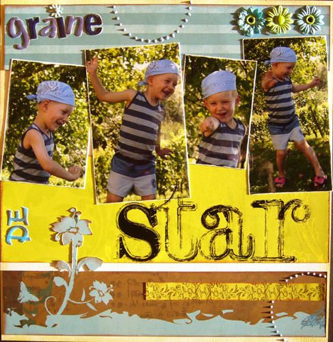graine-de-star.jpg