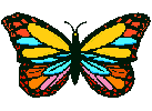 papillon 018