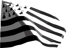 nation-gwenn-ha-du-v.gif