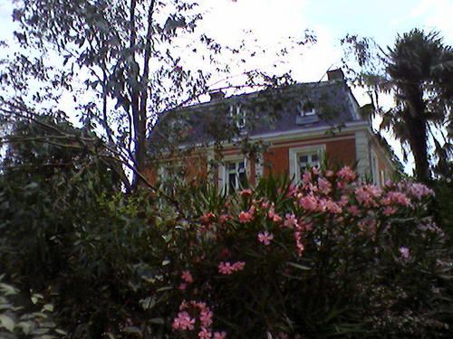 Photo-0261.jpg