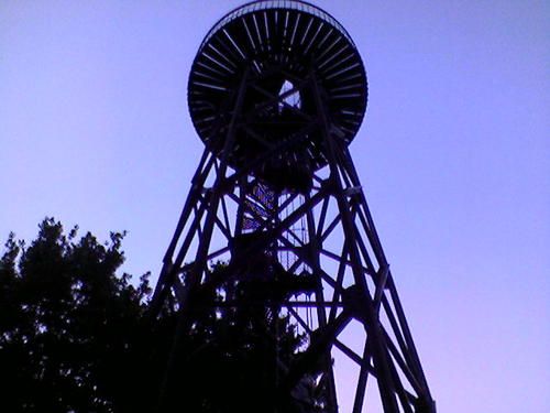 Photo-0310.jpg