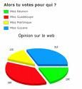 sondage01.jpg