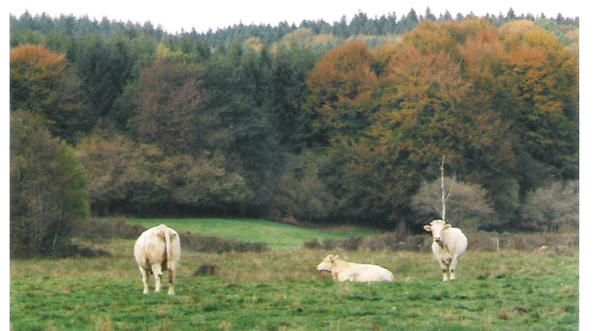 Rencontre sur ablis